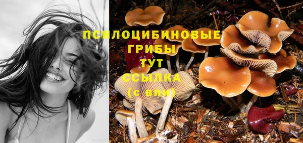 spice Магас